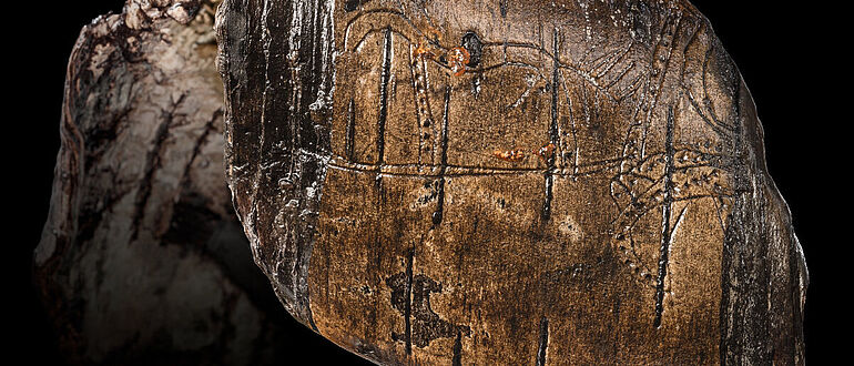 Birkenrindenstreifen mit Abbildung eines Hengstes