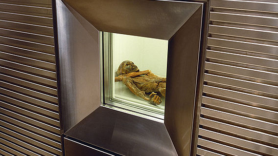 Vitrinenfenster zur Kühlzelle der Mumie vom Hauslabjoch (© Südtiroler Archäologiemuseum)