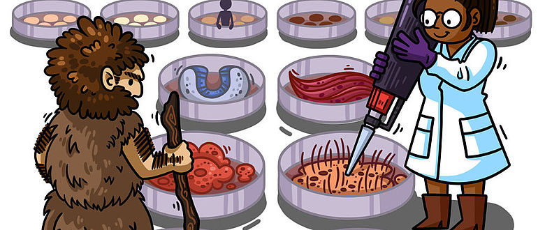 Neandertaler Petrischalen