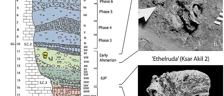 Stratigrafie