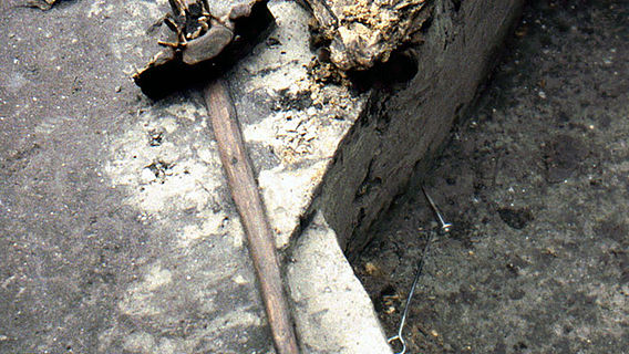 300.000 Jahre alter Holzspeer