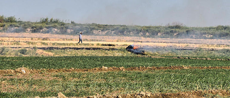 Abbrennen von Stoppeln auf einem Feld in Usbekistan