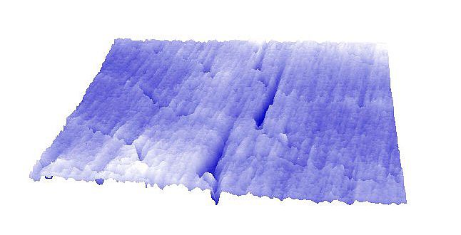 Zahnoberfläche mit zwei großen Abschürfungen (dunkelblaue Linien) durch Quarz-Partikel. (Peter Lucas, Kuwait University)
