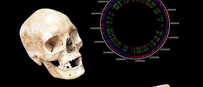 Mittelalterliche Knochen einer Leprakranken, Lepra-Genom