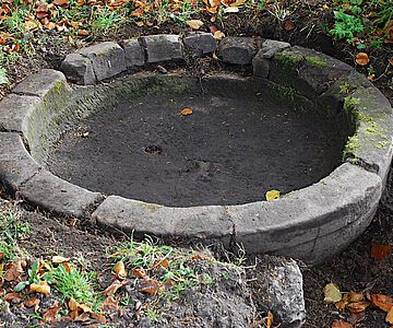 Die in Reinhardsbrunn gefundene Brunnenschale aus dem 12. Jh.