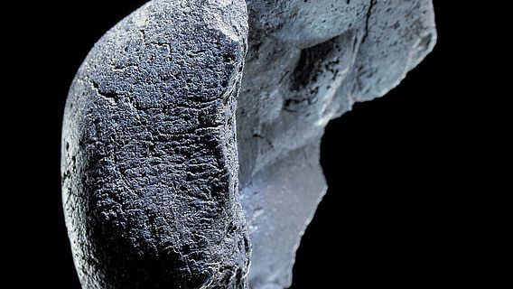 Birkenpech mit Fingerabdruck eines Neandertalers