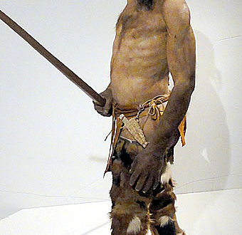 Durch eine biochemische Analyse konnten die meisten Fellteile der Kleidung von Ötzi bestimmt werden.