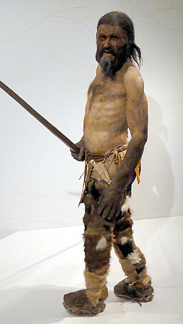 Durch eine biochemische Analyse konnten die meisten Fellteile der Kleidung von Ötzi bestimmt werden.