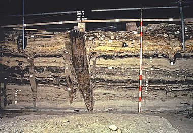 Typische stratigraphische Abfolge in Concise Typische stratigraphische Abfolge in Concise