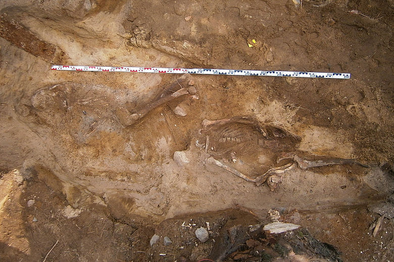 Bestattung von Erhängten Bestattung von Erhängten