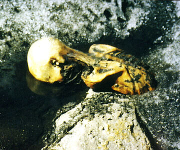 Ötzi Fundumstände