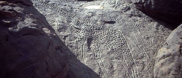 Lebensgroße Felsgravur zweier Giraffen aus Dabous, Niger