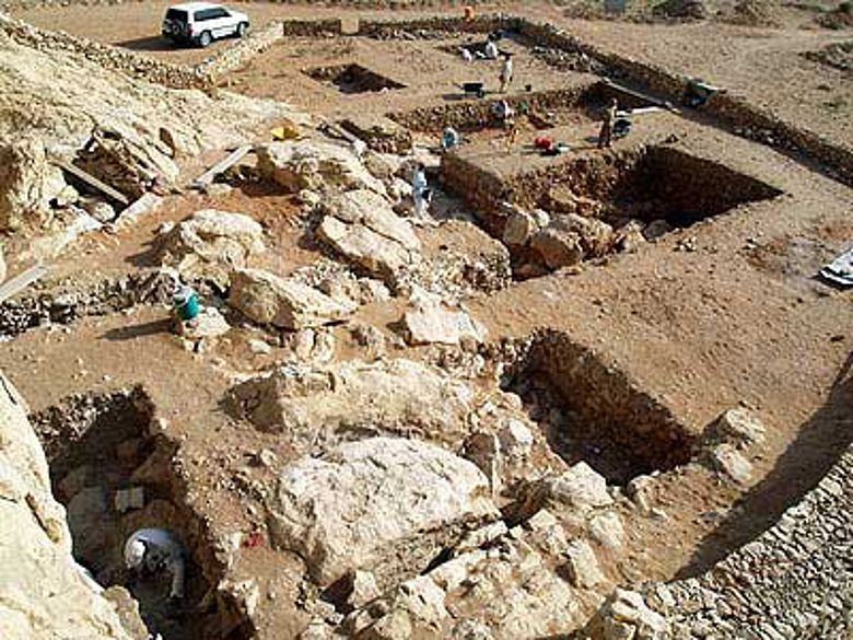 Ausdehnung der Grabungsschnitte 2009 (Foto: Joint Sharjah-Tübingen Archaeological Project)