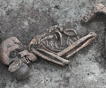 Frühbronzezeitliche Bestattung aus Leubingen (Befund 2242)