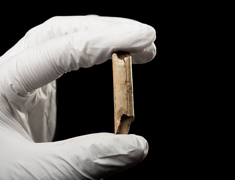 Neu entdecktes Fragment einer Knochenflöte