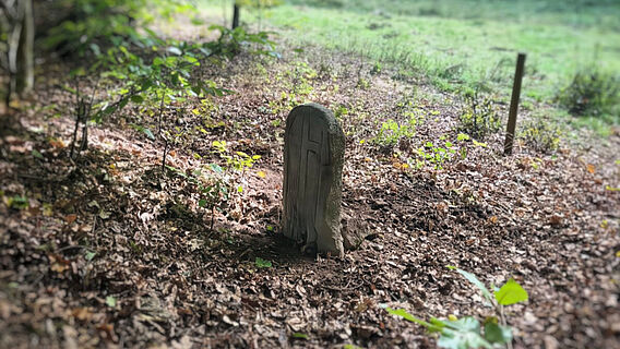 Kreuzstein bei Urnshausen