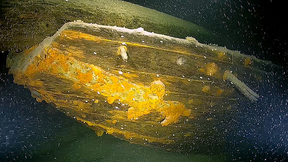 Heck eines hölzernen Lastsegelschiffs am Grund des Bodensees