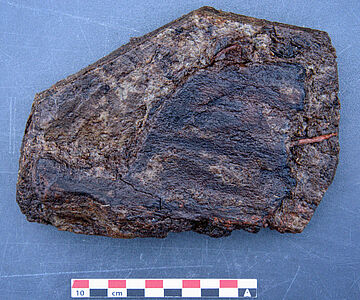 10.5000 Jahre altes Paddelbruchstück aus dem Duvenseer Moor