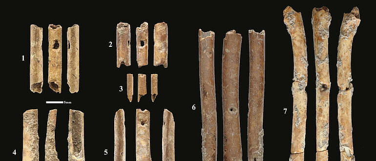 Proto-Neolithische Knochenflöten aus Ain Mallaha
