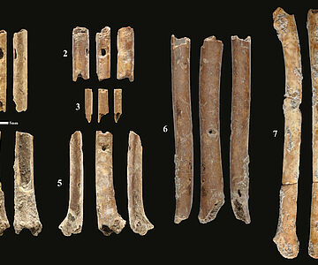 Proto-Neolithische Knochenflöten aus Ain Mallaha