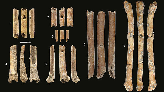 Proto-Neolithische Knochenflöten aus Ain Mallaha
