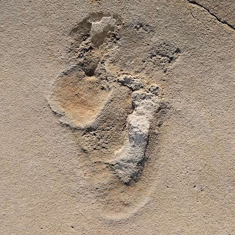 Eine von über 50 Fußspuren früher Menschenvorläufer, welche 2017 bei Trachilos auf Kreta beschrieben wurde