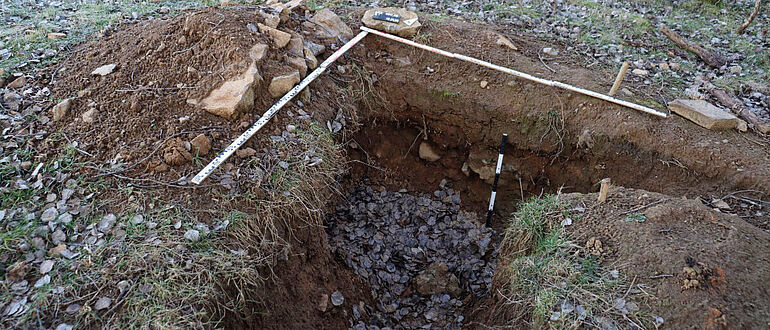 Raubgrabungsloch auf dem Burgberg