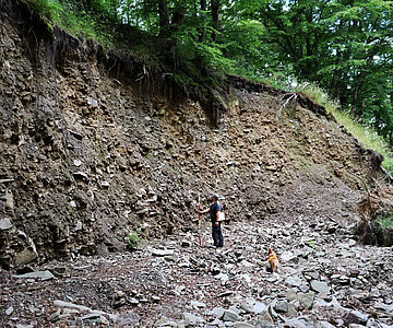 Tal der Ferbecke nach der Flut