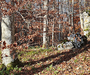 Geländevermessung Hohengenkingen