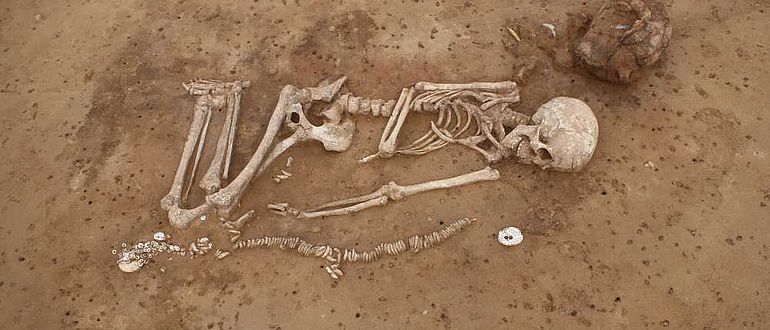 Frauengrab mit Zahn und Muschelschmuck