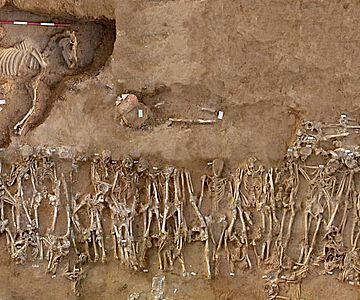 Massengrab aus der Schlacht von Himera im Jahr 409 v. u. Z.