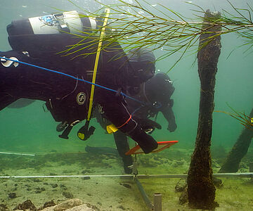 Taucharchäologische Untersuchungen im Bodensee