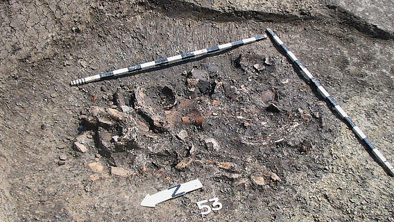 Neolithische Abfallgrube Neolithische Abfallgrube