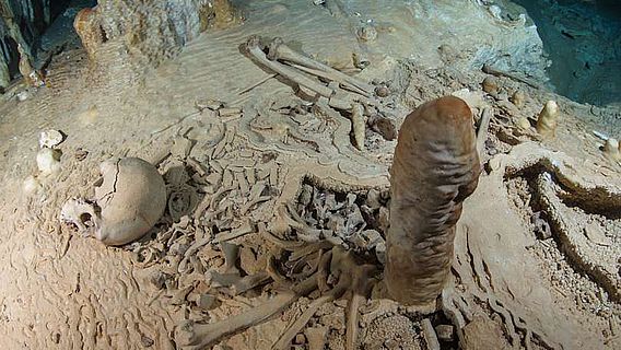 Fund eines prähistorischen menschlichen Skeletts in der Chan-Hol-Höhle bei Tulúm
