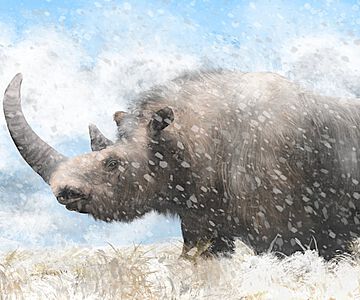 Das ikonische Wollnashorn starb vor etwa 10.000 Jahren aus.