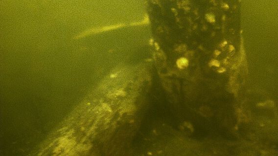Gut erhaltene Hölzer des Sperrwerks