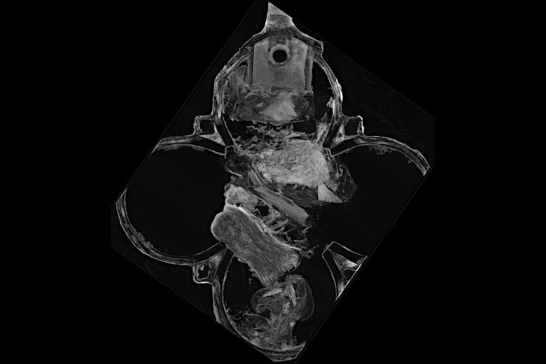 Die Neutronentomografie zeigt das Innere des Reliquienanhängers. Darin sind fünf Reliquienpäckchen zu erkennen