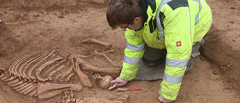 Pferdebestattung mit Beigaben