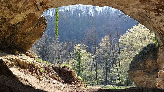 Eingang der Vindija-Höhle in Kroatien