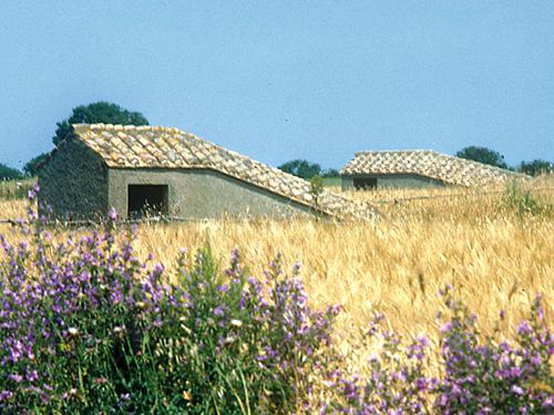 Die ziegelgedeckten Hütten auf den Feldern von Tarquinia sind die einzigen sichtbaren Zeichen für die Schätze, die unter der Erde schlummern