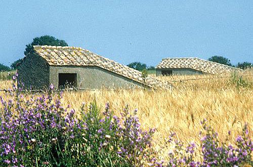 Die ziegelgedeckten Hütten auf den Feldern von Tarquinia sind die einzigen sichtbaren Zeichen für die Schätze, die unter der Erde schlummern
