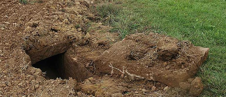 Beim Pflügen löste sich eine Steinplatte unter dem Ackerboden - zum Vorschein kam ein seit 130 Jahren unberührtes Grab eines Frankenfürsten. (Naturzentrum Eifel, Nettersheim / I. Ristow)