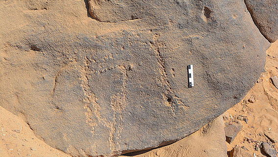 Neolithische Felsgravuren nahe Assuan