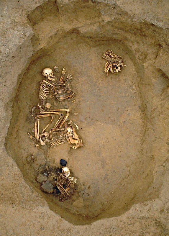 Ein Skelett, das in Kent ausgegraben wurde und in der Studie zur Migration nach Großbritannien in der Bronzezeit analysiert wurde