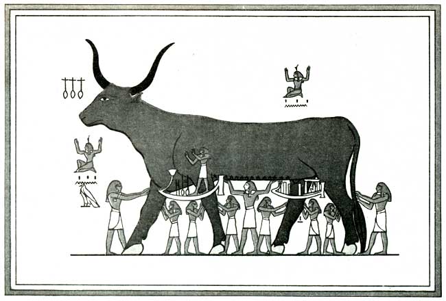 Die Himmelsgöttin Nut in Kuhgestalt, Illustration zum Buch von der Himmelskuh (aus: Budge 1904) Die Himmelsgöttin Nut in Kuhgestalt, Illustration zum Buch von der Himmelskuh (aus: Budge 1904)